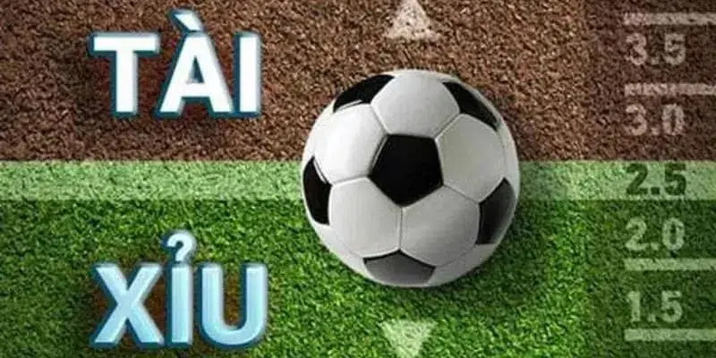 Kinh nghiệm soi kèo tài xỉu bóng đá Tổng quát về kèo tài xỉu bóng đá cho newbie